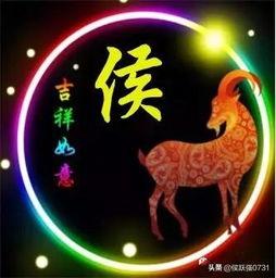 微信精美图片大全,视觉盛宴，捕捉生活美好瞬间