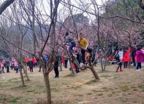 妇女公园里做活春视频,妇女公园里的温馨生活瞬间