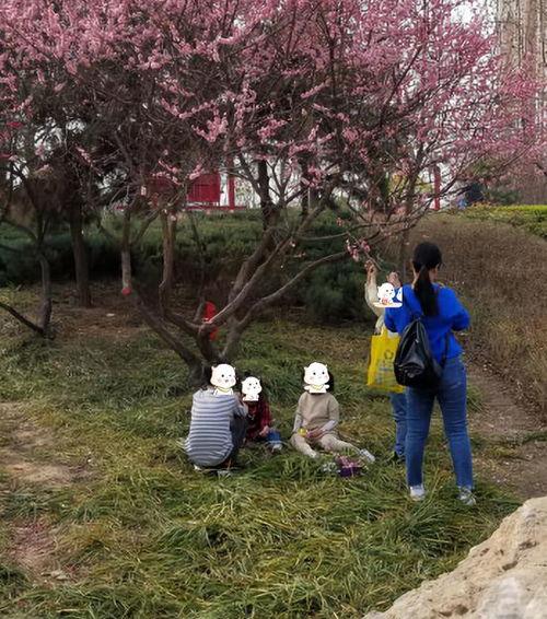 妇女公园里做活春视频,妇女公园里的温馨生活瞬间