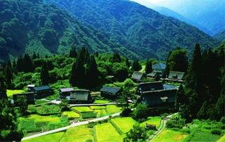 日本青山,繁华都市中的宁静绿洲