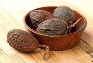 鹧鸪菜图片,自然界的绿色珍馐