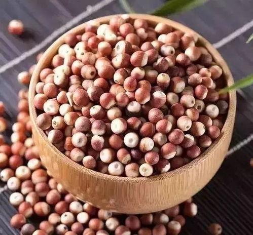 鹧鸪菜图片,自然界的绿色珍馐