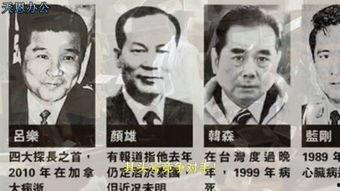 雷洛在线观看,揭秘网络直播的崛起与魅力