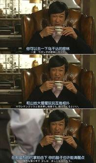 legal high 国语,法庭上的正义之战