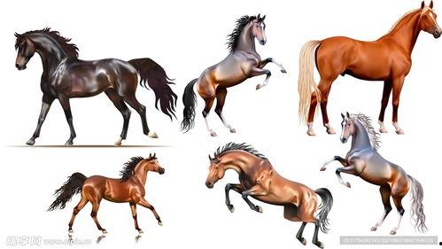 汉代马图片大全,图鉴中的历史画卷