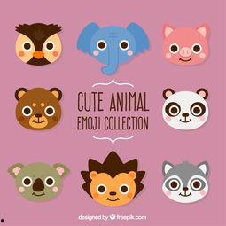 图片大全可爱动物,图片大全中的可爱动物集锦