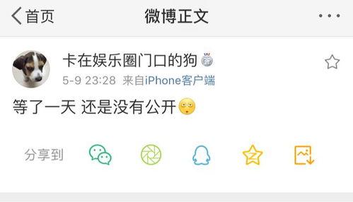 网爆吃瓜爆料视频下载安装,下载安装背后的真相