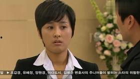 家门的荣光 国语 下载,探寻家族荣耀背后的故事