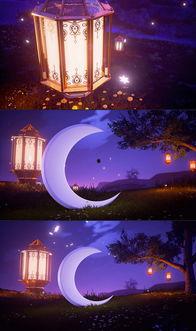 月牙视频,揭秘生活点滴，捕捉美好瞬间