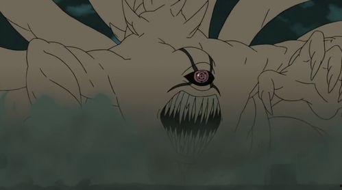 一尾到十尾的图片,探寻海洋生物的奇妙世界