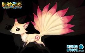 一尾到十尾的图片,探寻海洋生物的奇妙世界