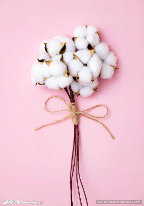 棉花的图片,探寻棉花产业的魅力与价值