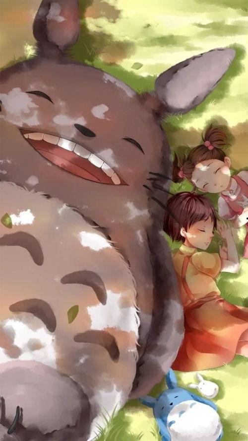 动漫龙猫图片大全可爱,动漫界的治愈系萌宠大盘点