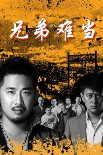 兄弟全集在线观看,一部描绘家族兴衰的史诗巨著