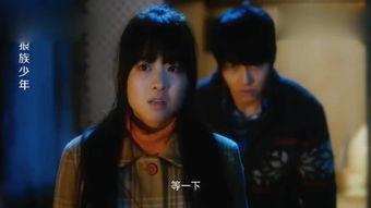 狼族少年国语,探寻神秘血脉的青春传奇