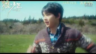 狼族少年国语,探寻神秘血脉的青春传奇