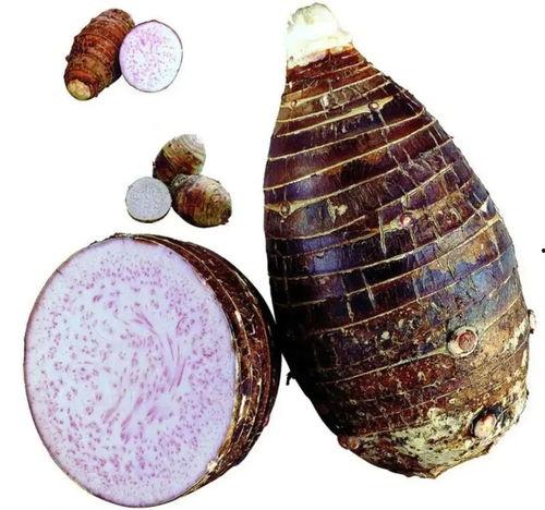 荔浦芋头图片,广西特色美食，口感细腻，营养丰富