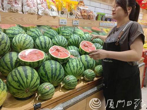 青岛鼎信麒麟瓜今日价格,价格行情一览”