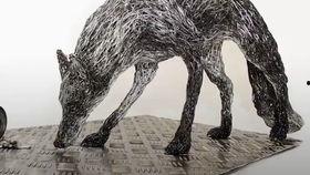 英语动物视频,Captivating Creatures: A Glimpse into the World of English Animal Videos