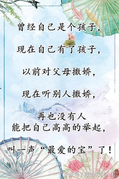 岁月不饶人图片,见证时光流转的沧桑之美