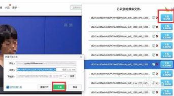 如何获取视频,视频获取全攻略