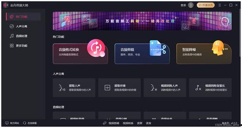 视频转音频在线,一键在线转音频，轻松获取核心概述