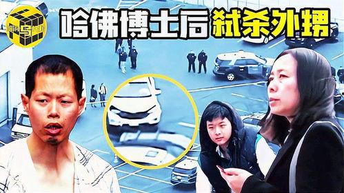 家庭乱轮视频,伦理道德的沦丧与警示