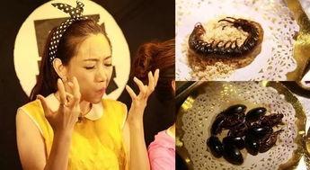 爽食行天下 韩国,爽食行天下，尽享异国风味