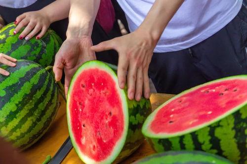 今日吃瓜创作,揭秘娱乐圈最新热点事件