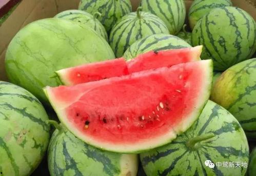 今日吃瓜创作,揭秘娱乐圈最新热点事件