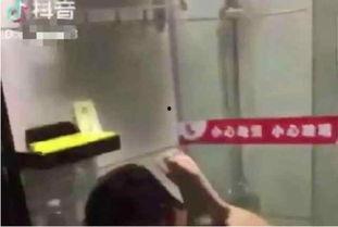 无打码视频,内容全览与精彩瞬间