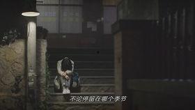 吻舌视频大全,揭秘热门视频大全中的浪漫瞬间