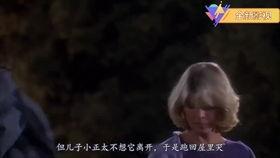 大脚哈利电影国语,奇幻冒险之旅