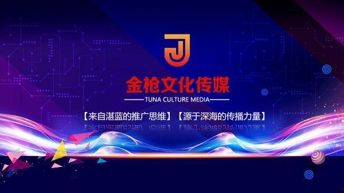 金枪在线观看,揭秘网络直播的激情与挑战