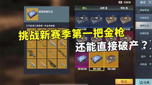 金枪在线观看,揭秘网络直播的激情与挑战