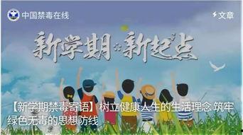 在线观看无毒的,在线观影的纯净之旅