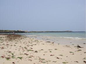 Day Day 韩国,探索韩国日常生活的魅力与风情