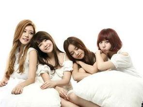 Day Day 韩国,探索韩国日常生活的魅力与风情