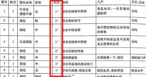 视频脚本文案,脚本文案如何塑造视觉盛宴