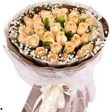 33朵香槟玫瑰图片,浪漫绽放的甜蜜誓言