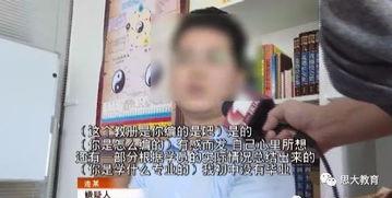 性视频教学,视频教学的新视角