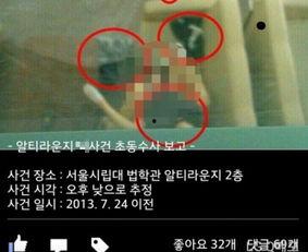 性视频教学,视频教学的新视角