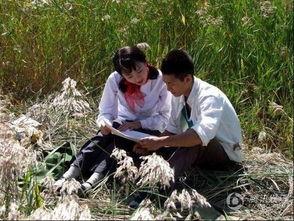 青谷子在线观看,在线重温青春记忆，共赴心灵之旅