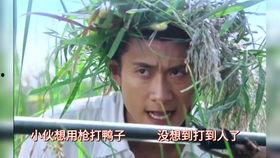 青谷子在线观看,在线重温青春记忆，共赴心灵之旅