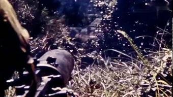 彩色国语二战纪录片,彩色影像中的历史记忆