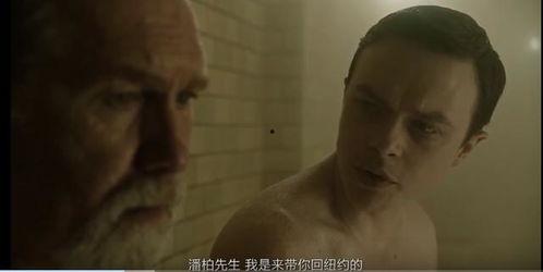 日本黄鳝视频ed2k,ed2k链接背后的真相与争议