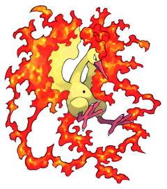 火焰鸟图片大全,绚丽多彩的火焰精灵风采展示