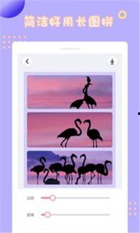 手机拼图在线观看,指尖上的艺术之旅