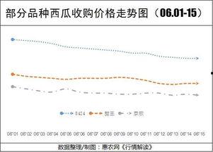 黑子瓜今日价格行情走势,今日行情走势解析