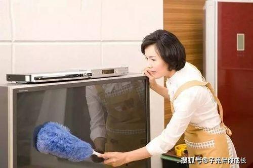 韩国保姆教授,育儿新视角下的育儿之道